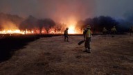 Castilla y León, arrasada por los incendios: el fuego calcina más de 141.000 hectáreas en menos de un mes y medio