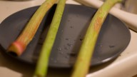 Mennonite Man Impresses Woman With His Ability to Consume Raw Rhubarb