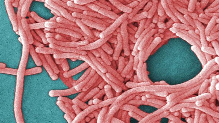 Officials urge New Yorkers to get tested for Legionnaires'