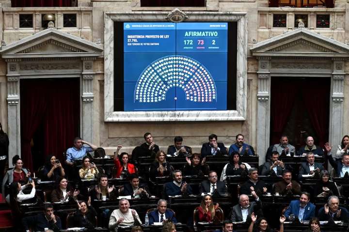 Otra mala para Milei: Diputados anuló el veto de emergencia en Discapacidad