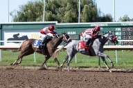 Government Tax on Horse Racing Betting Sees Protest From Organizers in Upsetting Fashion