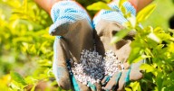 Farms, crofts, and estates invited to take part in Scotland’s Agritourism Survey 2025