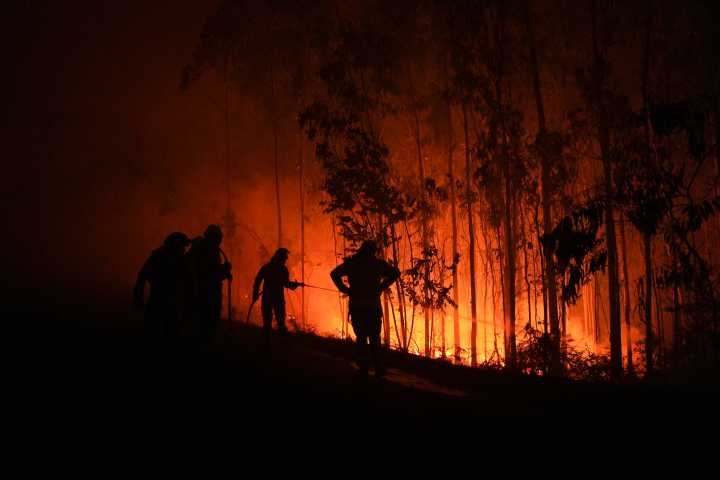Copernicus: España perdió 340.000 hectáreas por los incendios en agosto