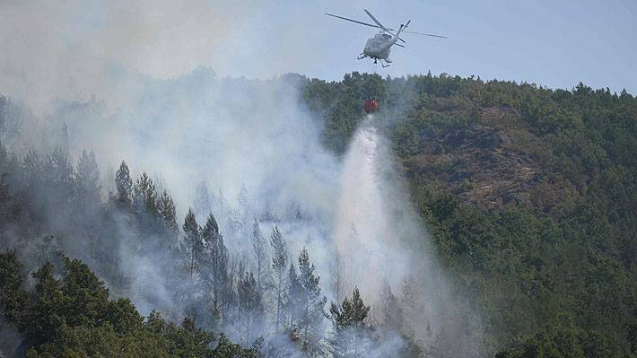 Incendios forestales impactan en la política española: Gobierno de Sánchez y el PP se acusan mutuamente de la gestión