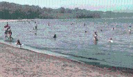E. coli leads to poor water quality at 4 Lake Erie beaches on Friday