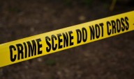 Georgia Probation Violator Found Hiding in Trash Can: What We Know