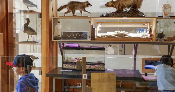 San Francisco events guide: What to do in The City this week