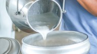 Florida farm identified as source of raw milk that sickened 21 