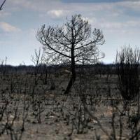 Spain heatwave was 'most intense on record'