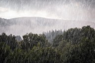 Map Shows When Month's Worth of Rain Will Arrive in One State