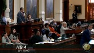 TX lawmakers give final approval to map favoring GOP, send to governor