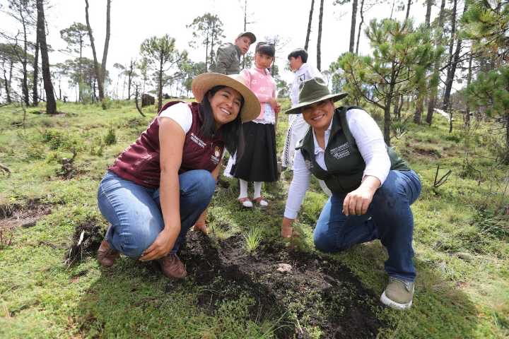 Temoaya celebra el Día de los Pueblos Indígenas con reforestación en el Cerro de Catedral