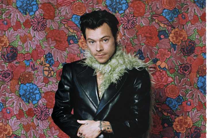 Harry Styles’ Girlfriend: Who He’s Dating & His Past Relationships