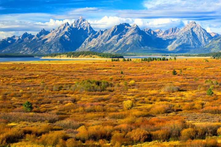 NPS Reports Hundreds Of Visitors May Have Been Exposed To Deadly Disease At Popular U.S. National Park