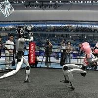 Football and falls as first humanoid robot games launch in China