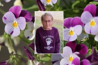OBITUARY: Louise Hooper Shankle