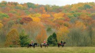 Timber sales in Hoosier National Forest reignite water quality concerns