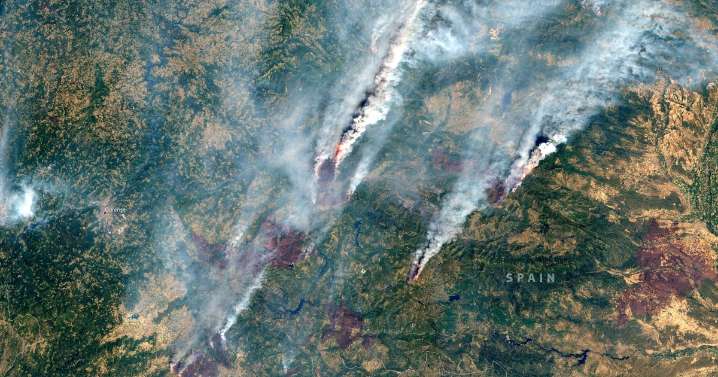 Protección Civil detalla cómo evolucionan los incendios forestales en España: aún hay 15 activos