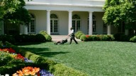 A history of the White House Rose Garden