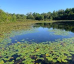 PHOTOS: Across the pond