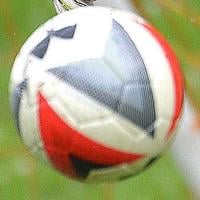 WEDNESDAY'S HIGH SCHOOL ROUNDUP: Tennessee High drops 6-0 decision to Science Hill in girls soccer