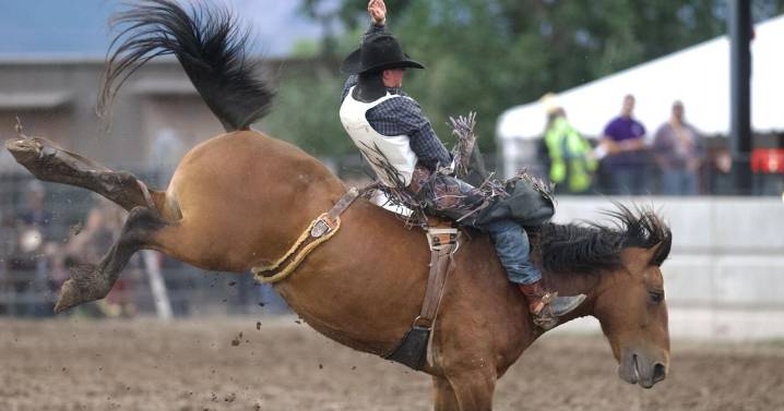 Great Falls' Wyatt Warneke nears close to rookie rodeo circuit
