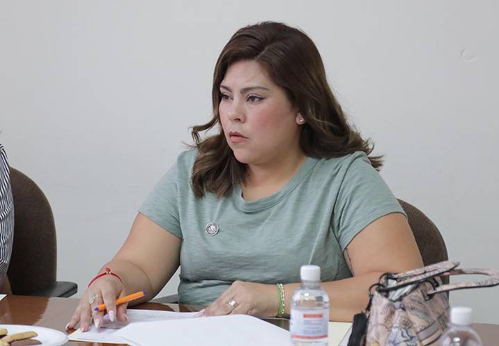 PROPONEN INSERTAR EN LA LEY, LA DEFINICIÓN DE CRIANZA POSITIVA: DIP. DIANA RUELAS GAITÁN