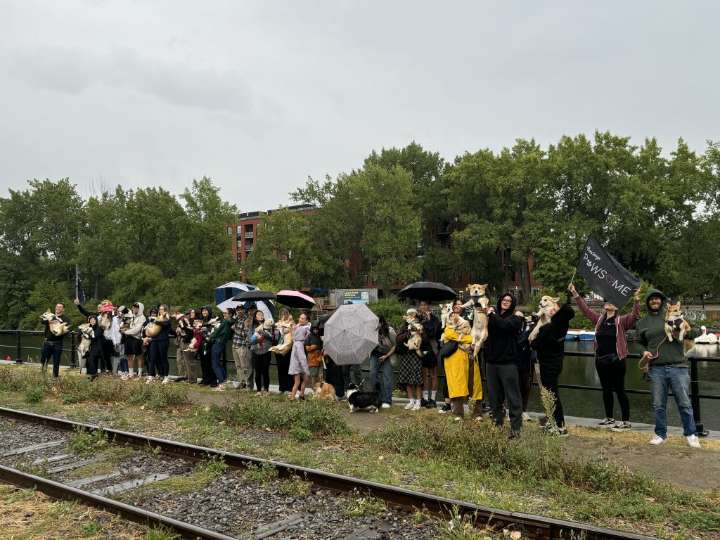 Montreal’s 5th annual ‘Corgi Pawty’ back with new balade ahead of the pawrade
