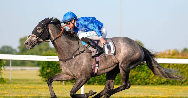 Filly on the up to star at Kempton Park - Jason Heavey's Tuesday tips