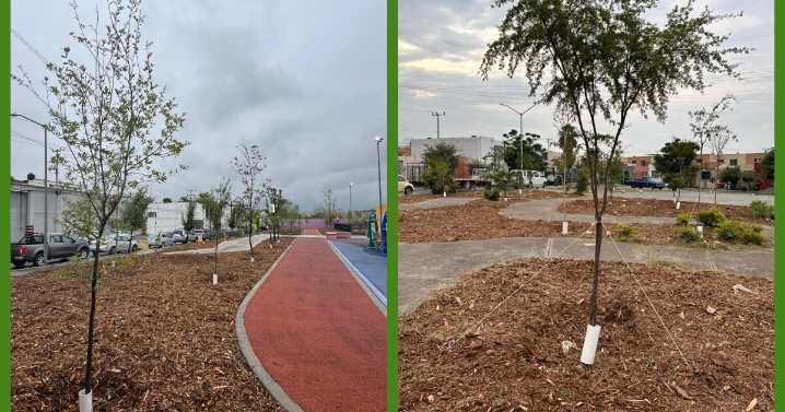 Manejo Ecológico y Procesamiento de Desechos en Nuevo León; ¿qué hace el Simeprode?