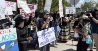 Families, activists to hold weekend vigil outside Alligator Alcatraz immigration detention center