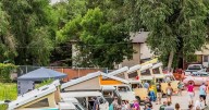 12 weekend things to do around Colorado Springs and beyond: VW Buses, North Cheyenne Canon at 140, Unicorn Festival, more