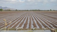 Insuficiente, almacenamiento de la Boquilla y Las Vírgenes para asegurar un ciclo agrícola en 2026