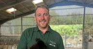 Alpaca named after Ozzy Osbourne in cute tribute