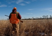 As more hunters donate deer venison to food banks, higher donations are expected from farmlands this year