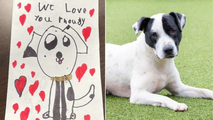Kids Leave An Emotional Note Behind With Their Dog At A South Carolina Shelter
