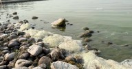 Idaho health officials warn residents to avoid lakes with harmful algal blooms