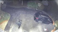 Suspects sought after 2 cars stolen, several others broken into in Wrentham, Mass.