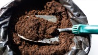 Don't Throw Out Old Potting Soil When It Could Transform Your Lawn, Here's How