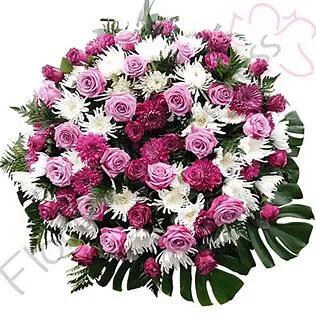ORCELLET PALMIRA ROSA