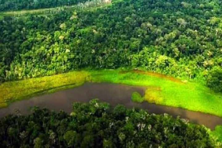 Región Amazonas avanza hacia el desarrollo socioeconómico con enfoque ambiental
