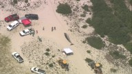 Whale had little in its stomach at time of death in NJ: officials