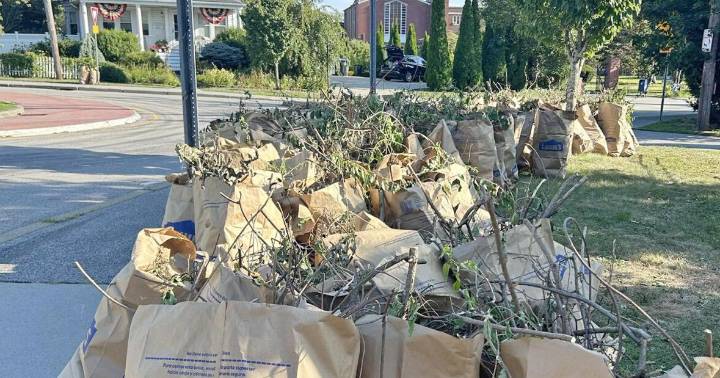 Lombardi sets new limit on yard waste after confrontation