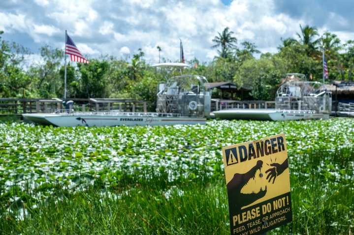Alligator Alcatraz será desmantelado: Juez da la orden