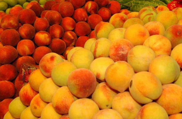 UAGA reclama medidas ante el bajo precio del melocotón amarillo en el mercado estatal