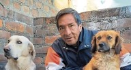 Huancayo: anciano sale a comprar desayuno y automóvil lo mata