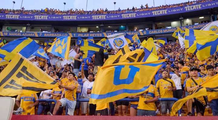 Tigres anuncia castigo tras hechos violentos en el partido ante América