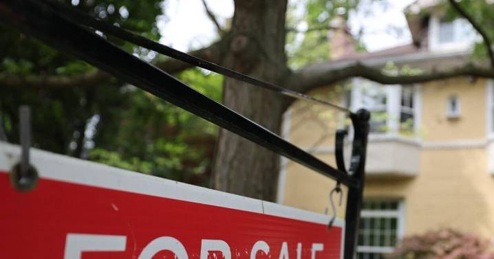 iPro Realty brokerage shuttered by regulator