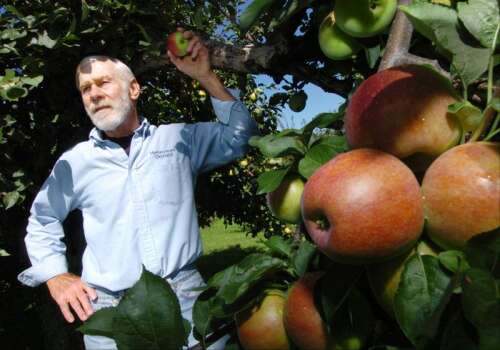 The orchard experience: Where to go for fall apple picking