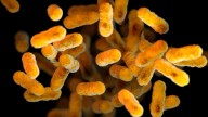 Health officials monitoring whooping cough outbreak in southern Lorain County